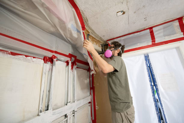 Best Attic Mold Removal  in Del City, OK