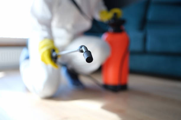 Reliable Del City, OK Mold Removal Solutions