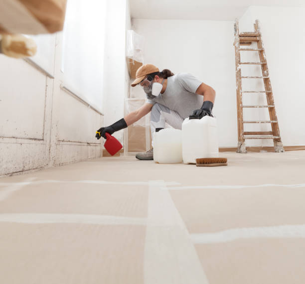  Del City, OK Mold Removal Pros