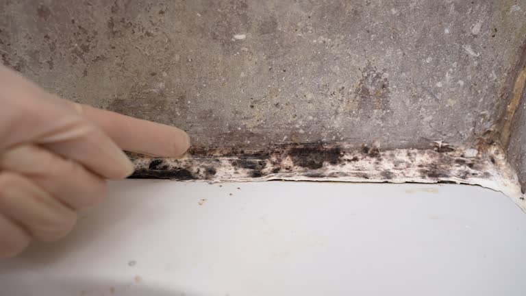 Best Environmental Consulting for Mold Prevention  in Del City, OK